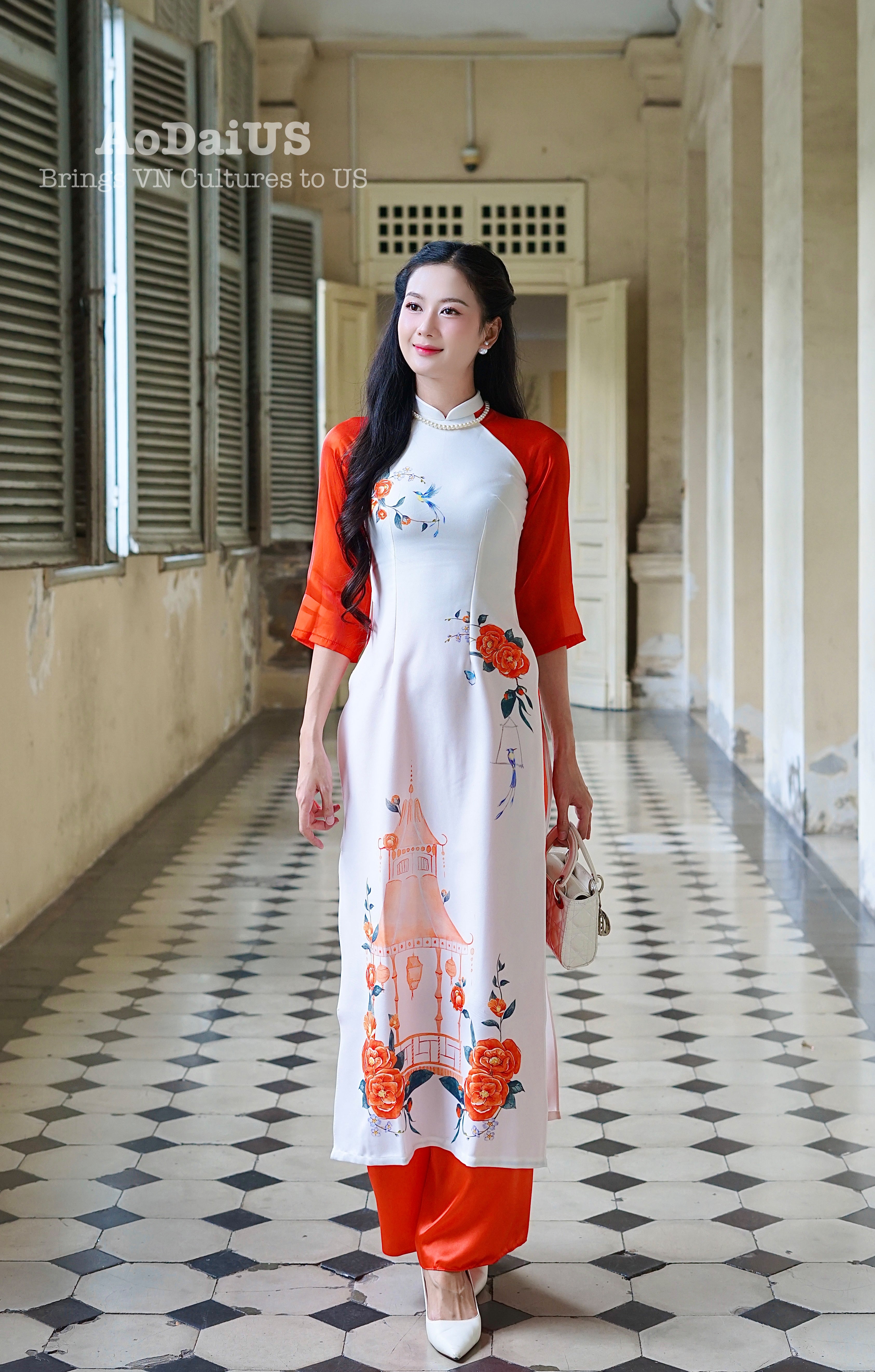 Xuân Thi Modern Vietnamese Ao Dai Set E29 – Ao Dai US