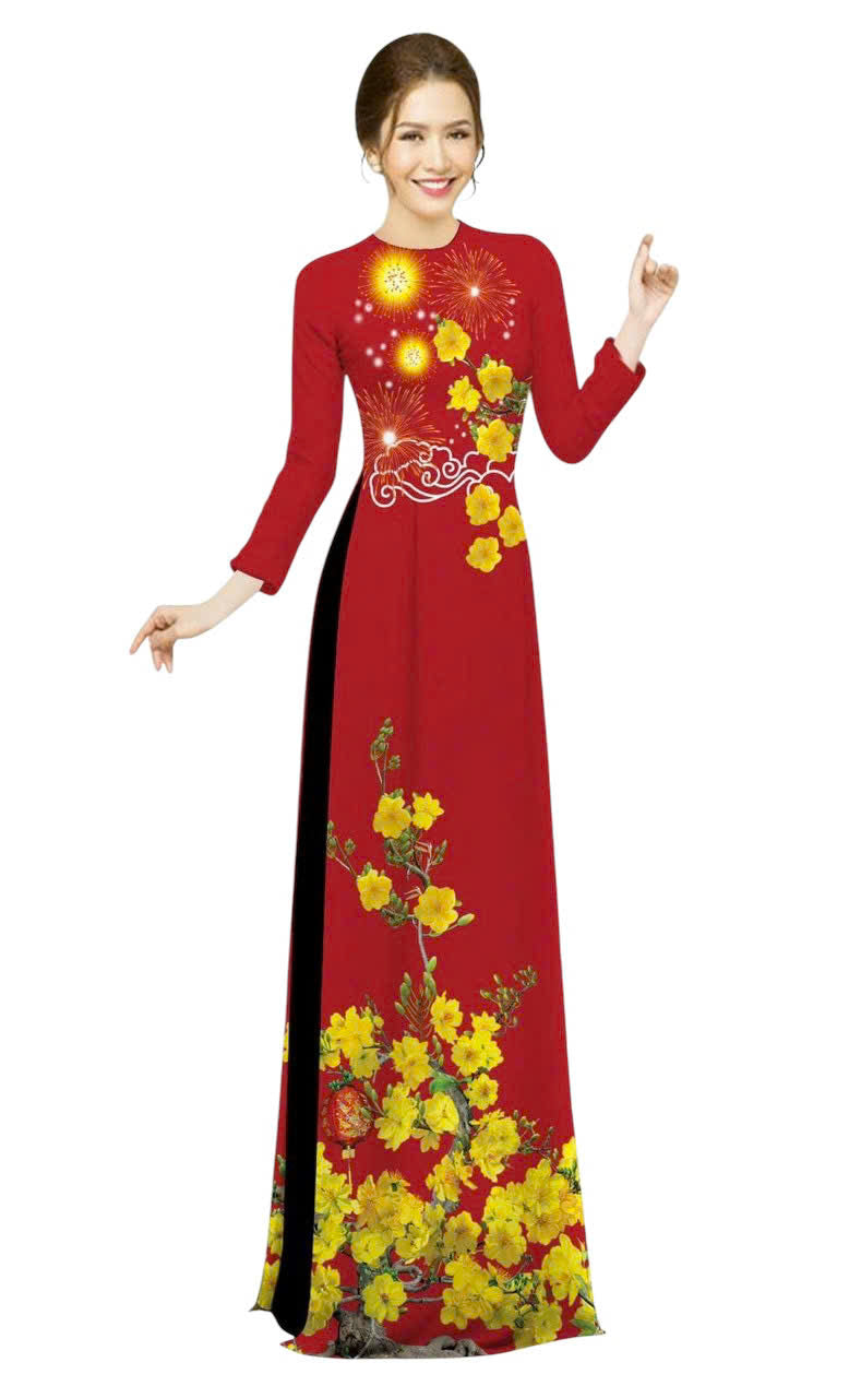 3D Printed Ao Dai For Women | Vietnamese Ao Dai Tet | NO PANTS H1