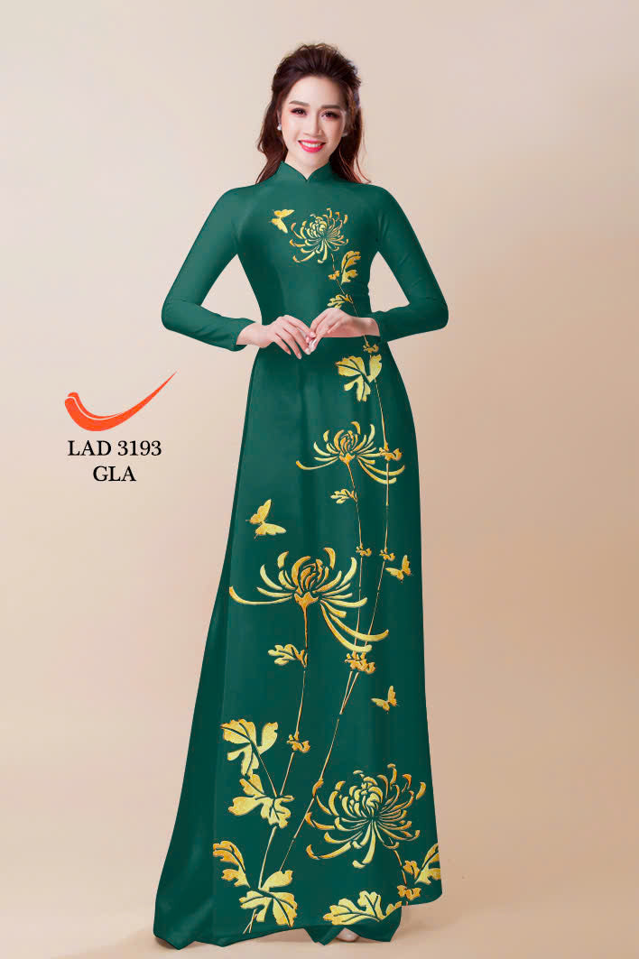 Printed Women Ao Dai | Vietnamese Traditional Dress