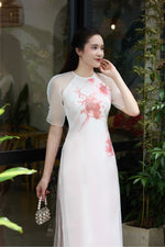 Hồng Vân Vietnamese Modernized Dress No Pants | Áo Dài Cách Tân E29
