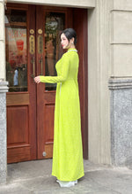 Vietnamese Traditional Ao Dai For Women-No Pants | Áo Dài Truyền Thống Tơ Lụa 2 Da