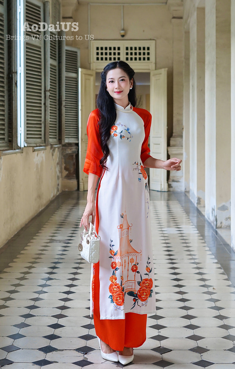 Xuân Thi Modern Vietnamese Ao Dai Set E29
