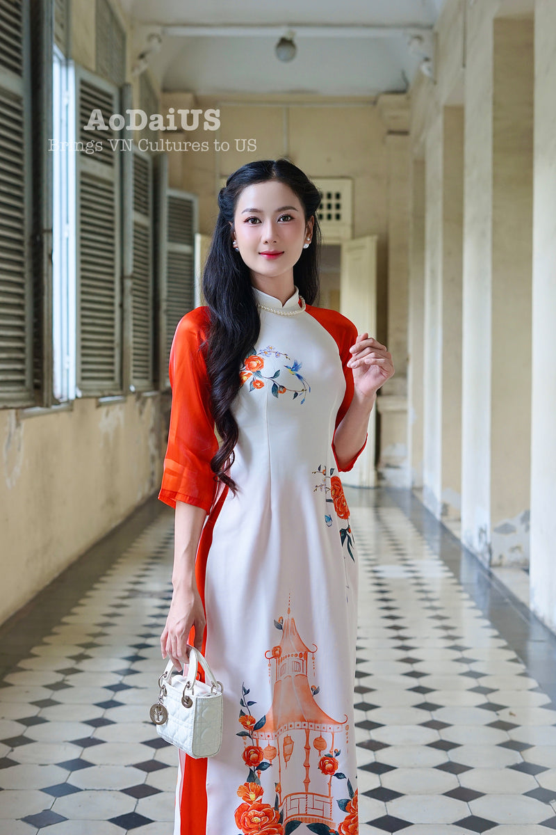 Xuân Thi Modern Vietnamese Ao Dai Set E29