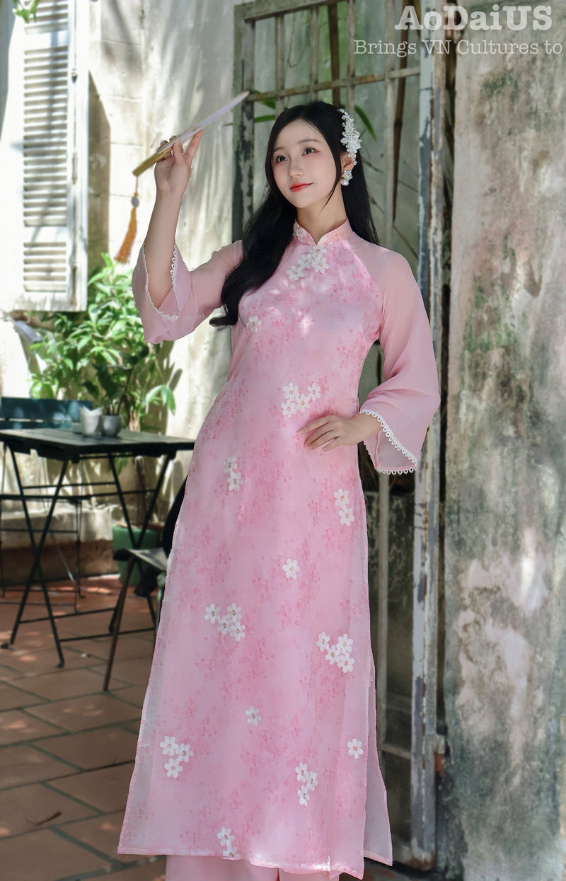 Pink Modern Vietnamese Ao Dai | Áo Dài Hồng Duyên Cách Tân