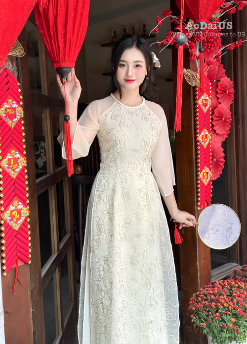 Rose Sparkle Vietnamese Modern Ao Dai | Áo Dài Cách Tân H54