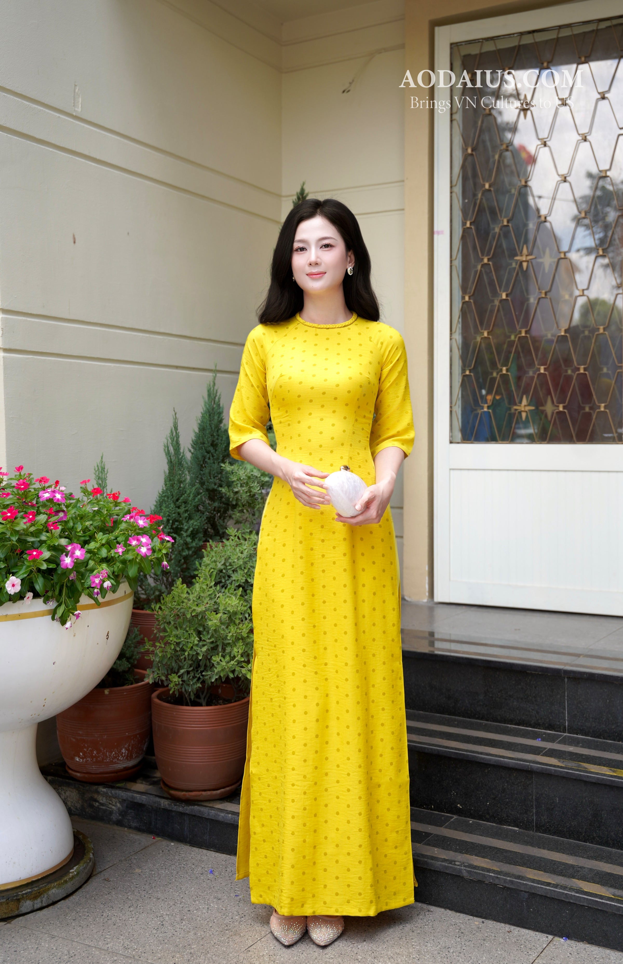 Vietnamese Traditional Dress for Women