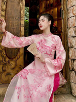 Vietnamese Modernized Dress - Áo Dài Cách Tân Việt Nam