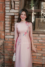 Vietnamese Modernized Dress