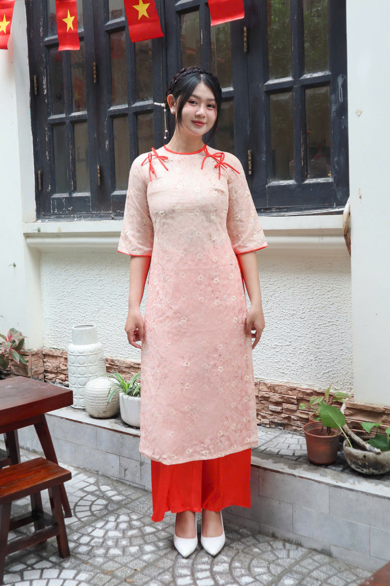 Thu Boi Modern Ao Dai For Women | Vietnamese Modernized Dress