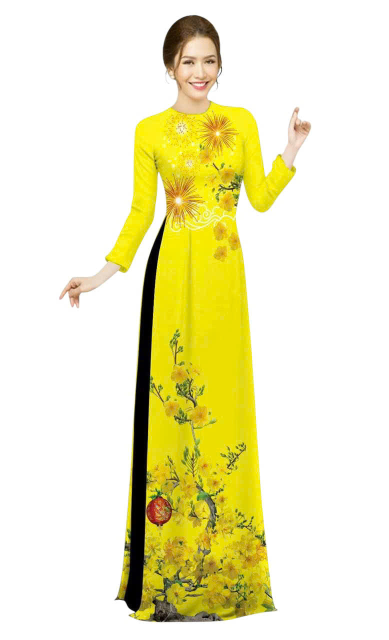 3D Printed Ao Dai For Women | Vietnamese Ao Dai Tet | NO PANTS H1