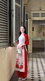 Xuân Thi Modern Vietnamese Ao Dai Set E29