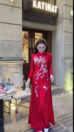Xuân Thi Traditional Vietnamese Ao Dai Set