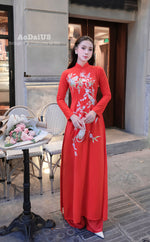 Xuân Thi Traditional Vietnamese Ao Dai Set