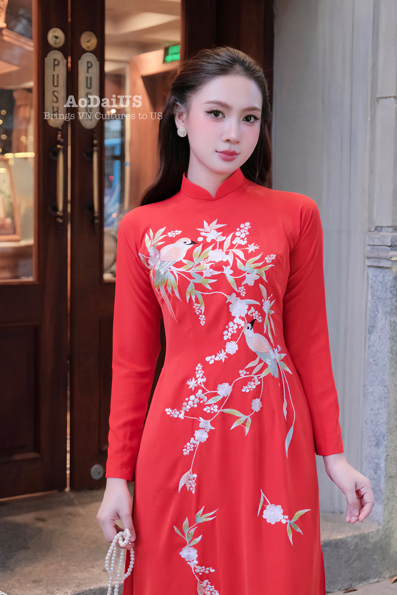 Xuân Thi Traditional Vietnamese Ao Dai Set