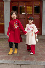 Dress For Boys | Áo Dài Bé Trai | Vietnamese Ao Dai For Tet