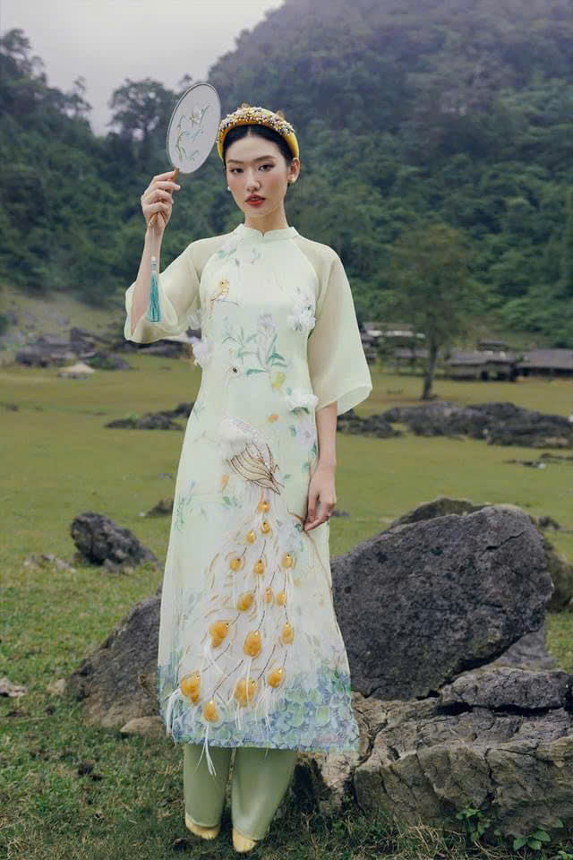 Vietnamese Modernized Dress | Luxury Ao Dai For Special Event