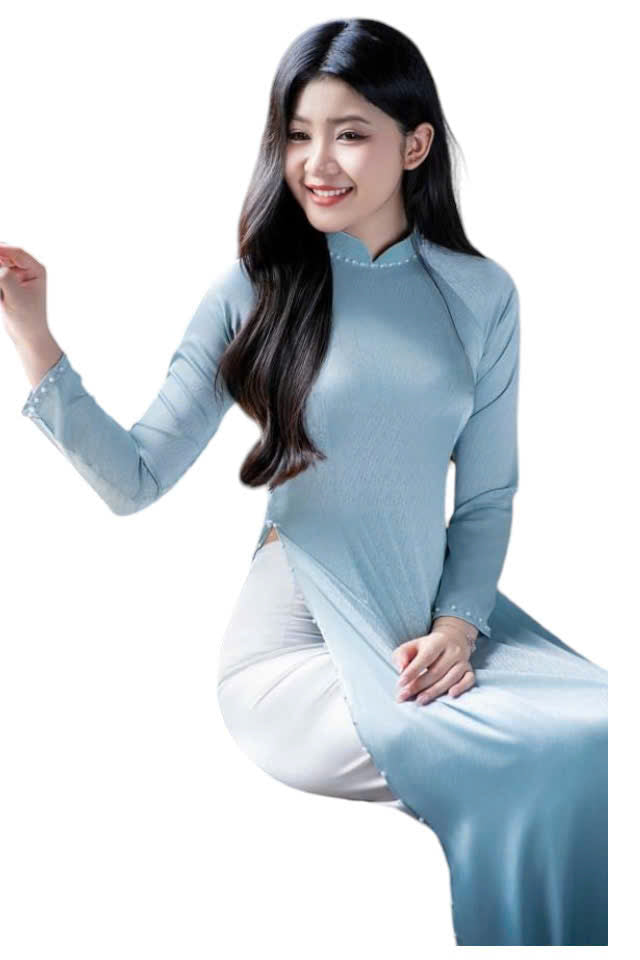 Vietnamese Traditional Dress | Long Dress Ao Dai | 3 Colors