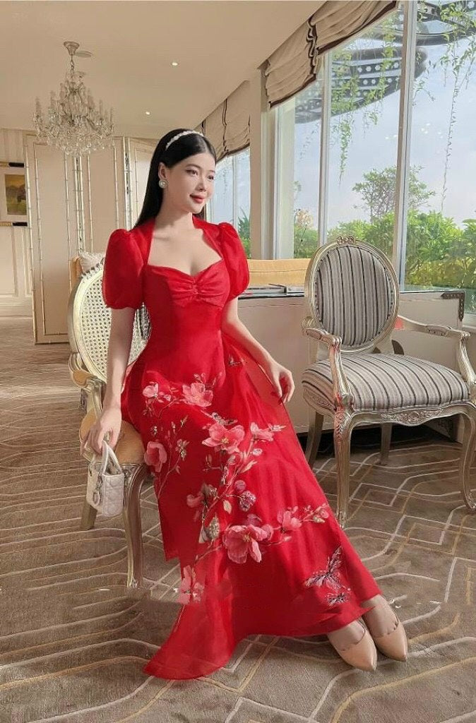 Vietnamese Modernized Dress