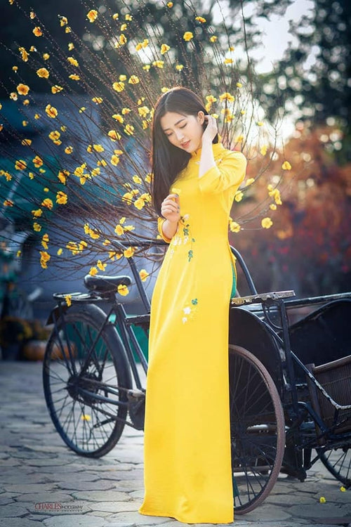 Traditional Dress | Áo Dài Truyền Thống