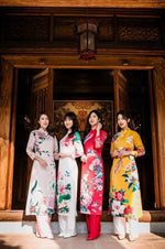 Vietnamese Traditional Dress for Women