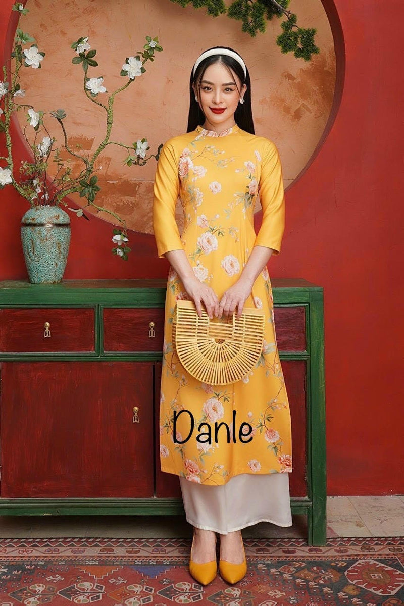 Vietnamese Modernized Dress for Women