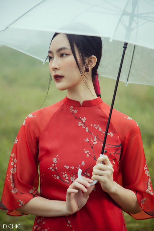 Modernized Dress | Áo Dài Cách Tân