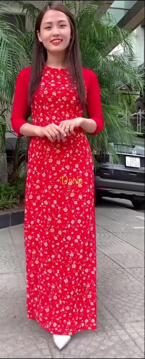 Vietnamese Traditional Dress