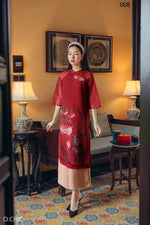 Modernized Vietnamese Dress