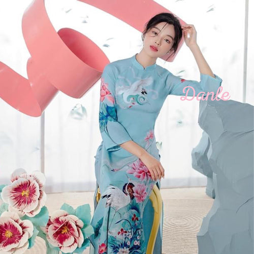 Modernized Vietnamese Dress