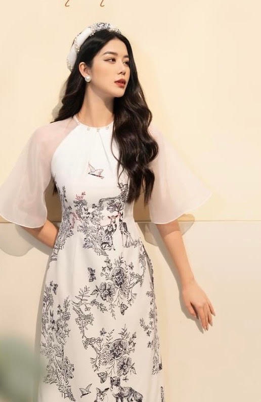 Vietnamese Modernized Dress