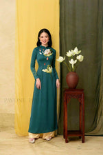 Vietnamese Traditional Dress