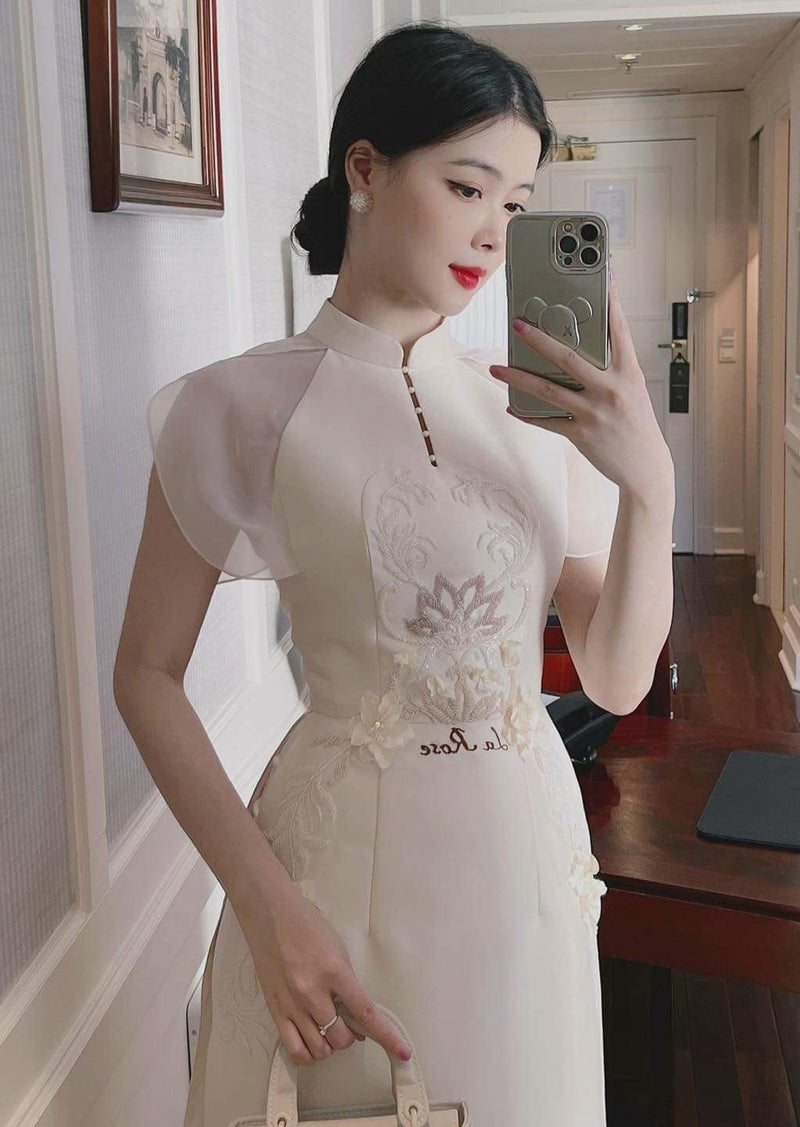 Vietnamese Modernized Dress