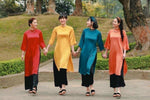 Vietnamese Modernized Dress