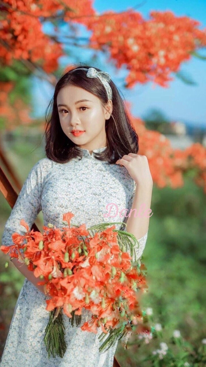 Vietnamese Modernized Dress