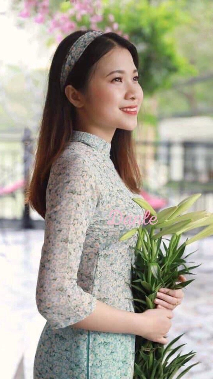 Vietnamese Modernized Dress