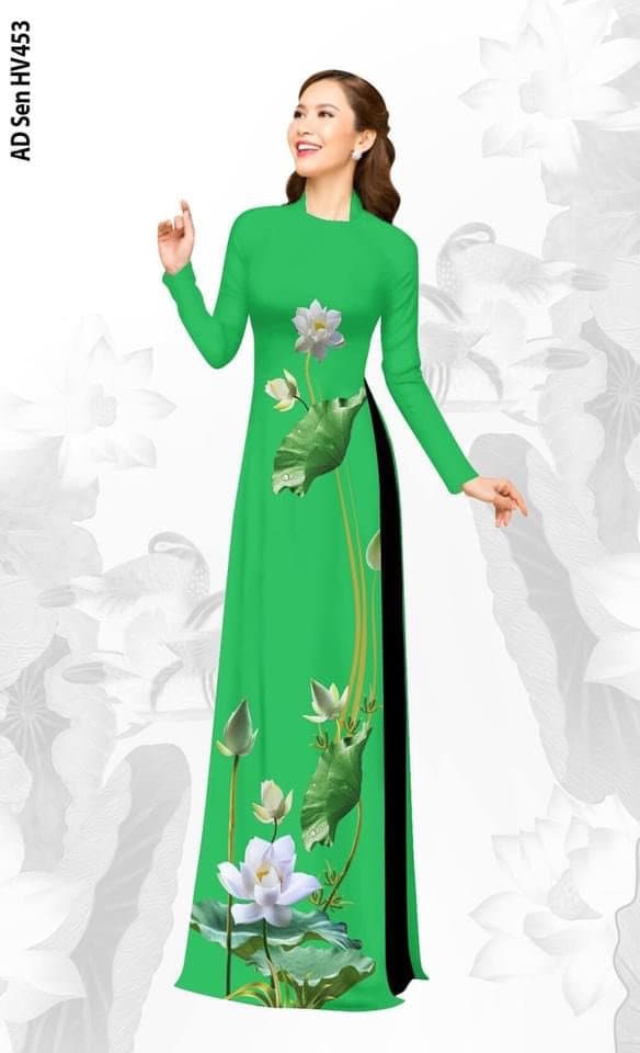 Womens Elegant Formal Vietnamese Traditional Oriental Style Ao Dai Dress  Gown