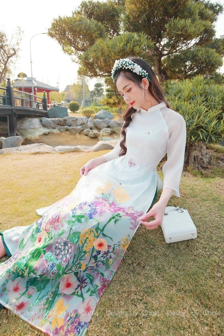 Vietnamese Modernized Dress