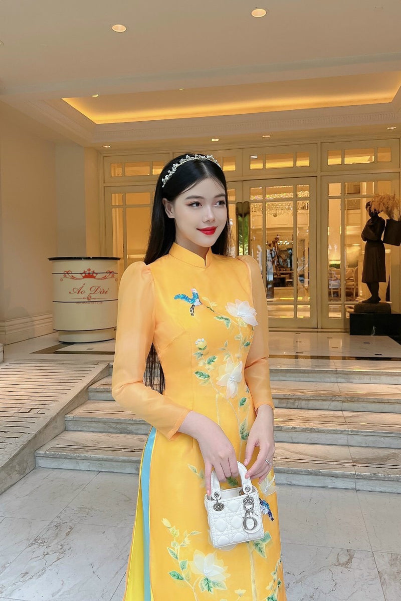 Vietnamese Modernized Dress